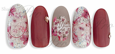 Sha-Nail Pro - KANAE-017