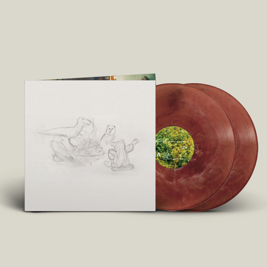 Big Thief《Dragon New Warm Mountain I Believe In You》（獨立唱片行限定彩膠2LP）