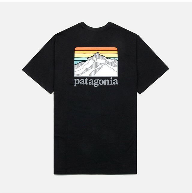 PATAGONIA Logo Ridge 口袋 男 短袖 短T 38511-BLK