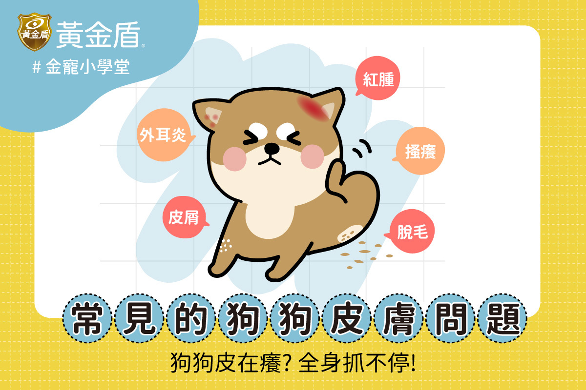 一隻Q版的狗狗不斷的全身抓不停，身上還有紅腫以及脫毛的樣子