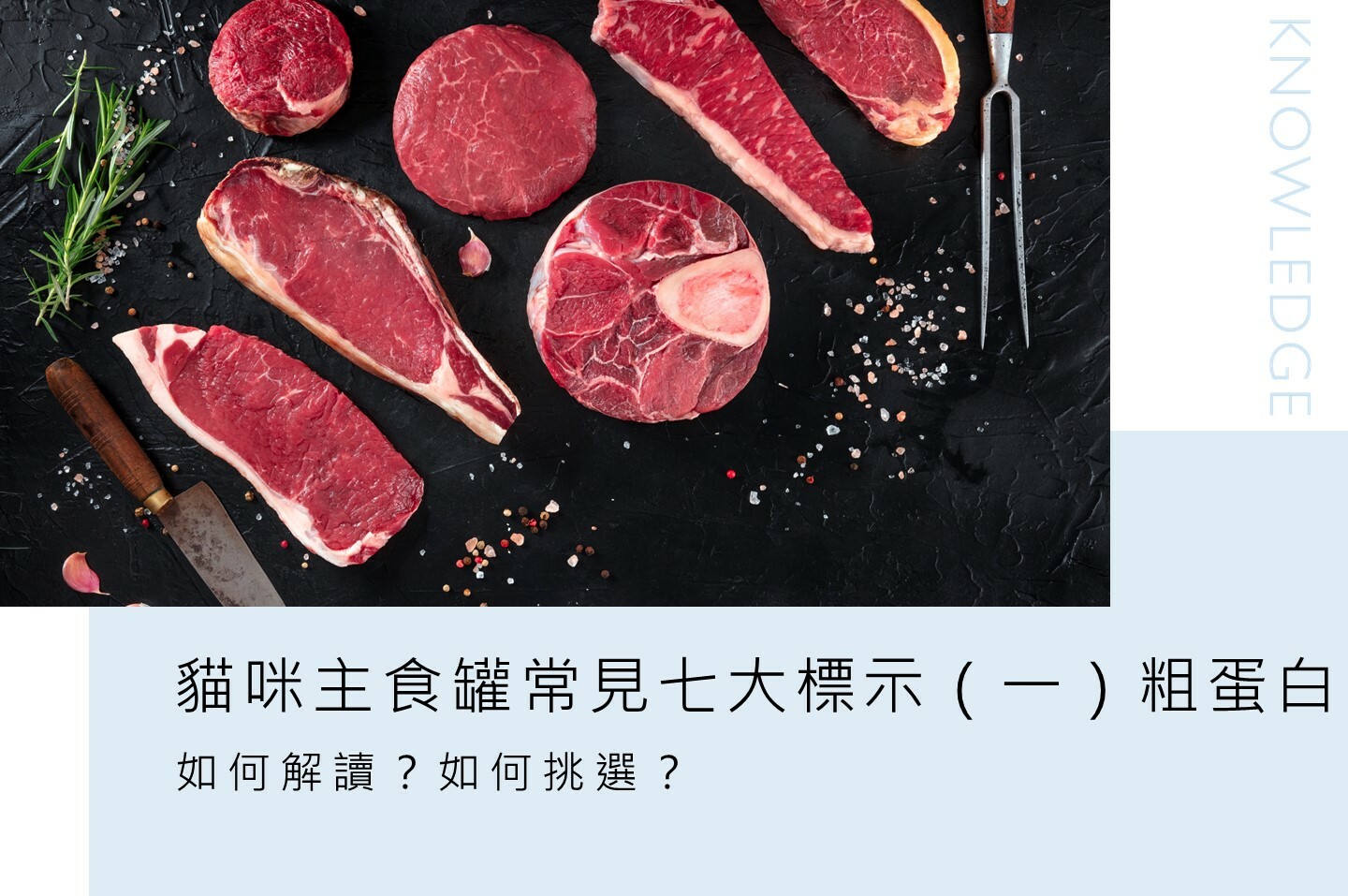 貓爾學院,寵物營養,日常護理,知識教室,貓爾地夫,蛋白質