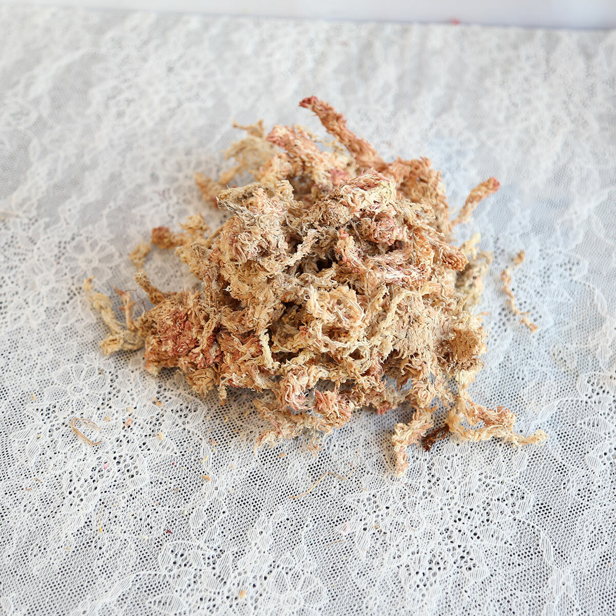 瓔珞莊園 ｜智利水苔1KG