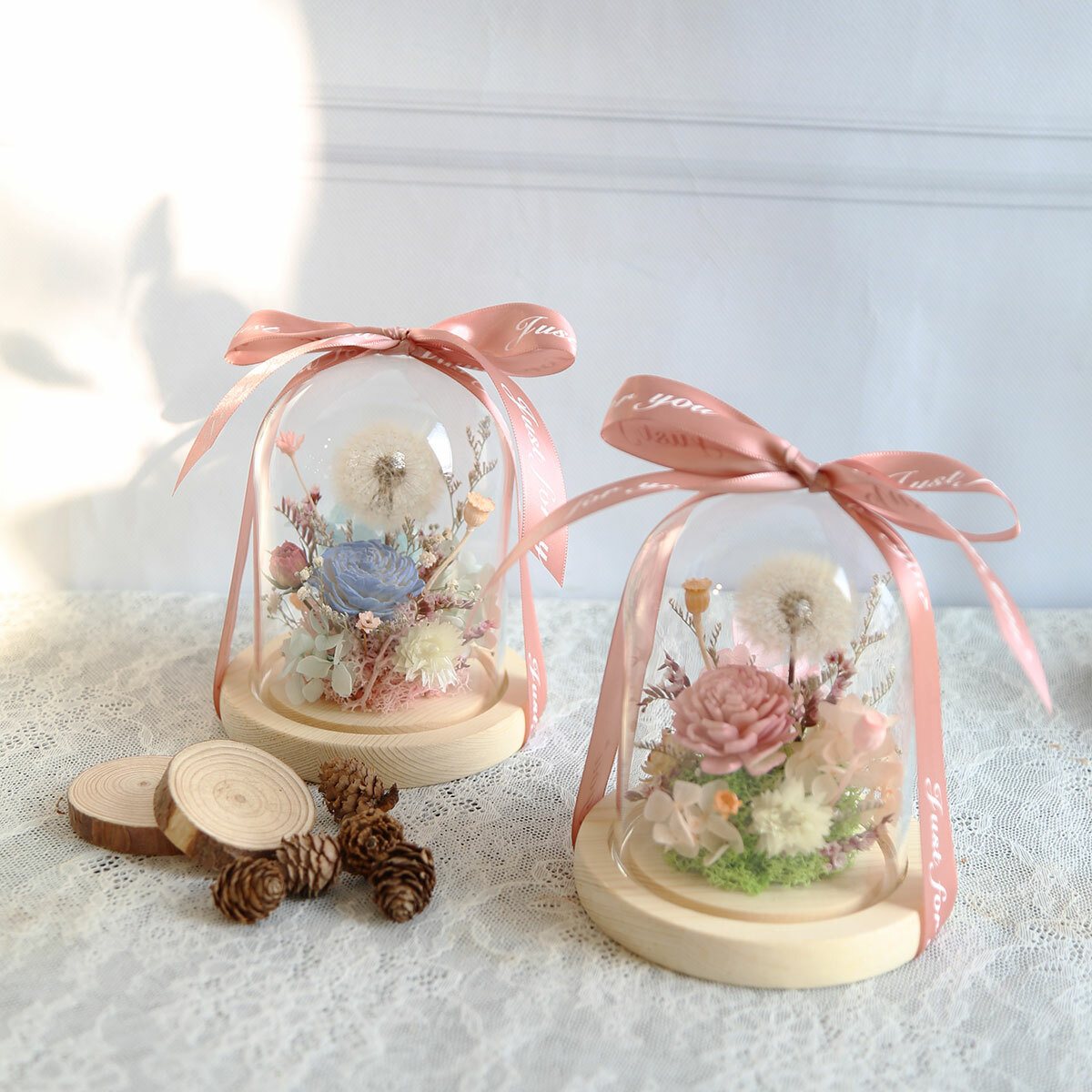 S16｜蒲公英罩盅