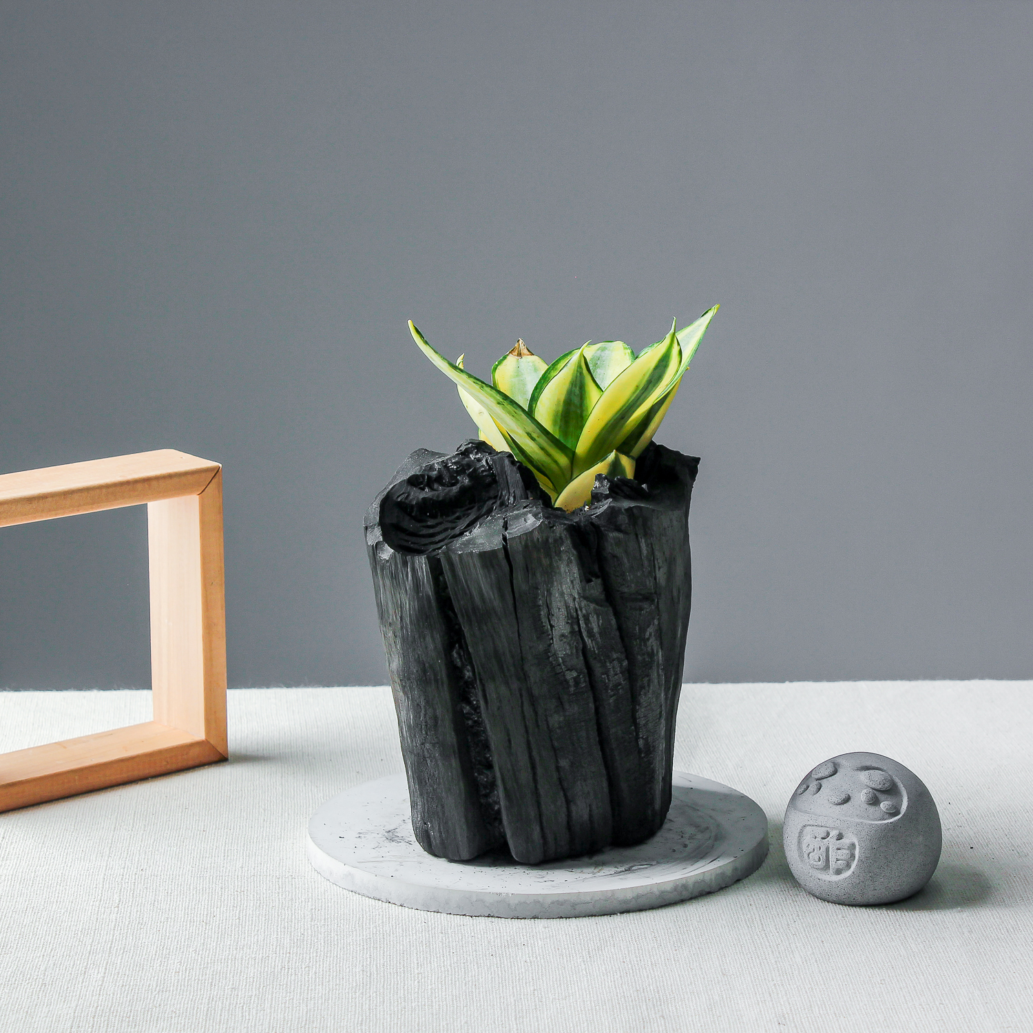 藝術炭盆栽－虎尾蘭［348］/調濕/消臭/美化/家飾/淨化空氣(含運)