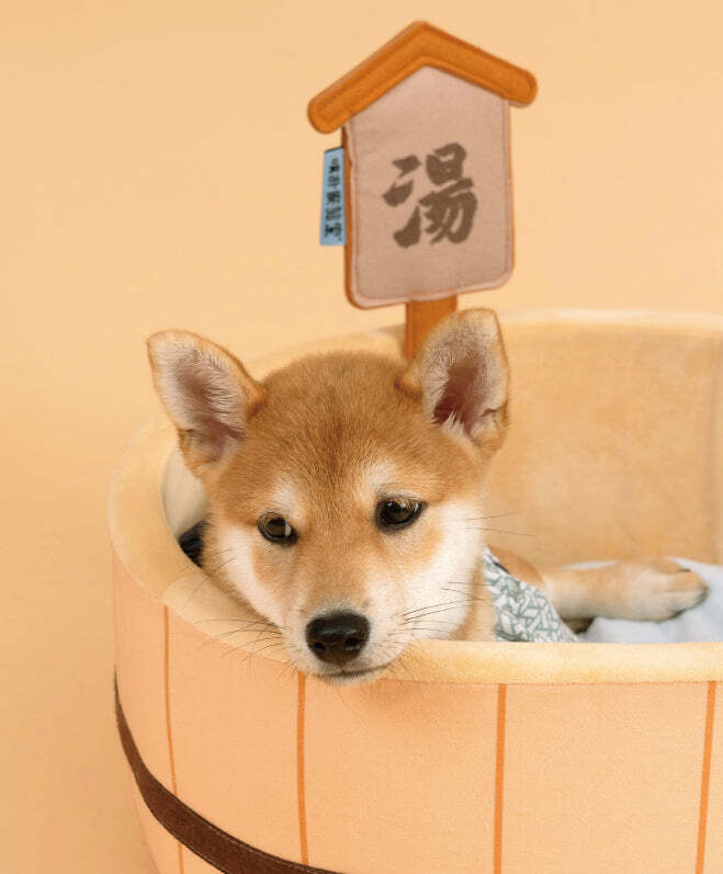 PurLab 溫泉湯寵物窩