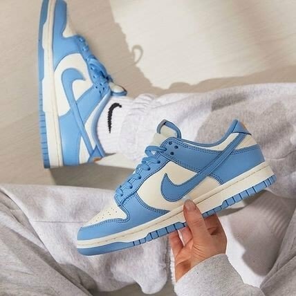 Nike Dunk Low "Coast" UNC 北卡藍 黃標 DD1503-100