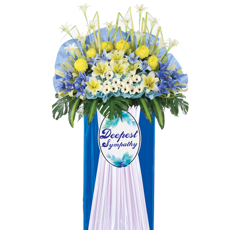 H170⭐⭐⭐⭐⭐member discount