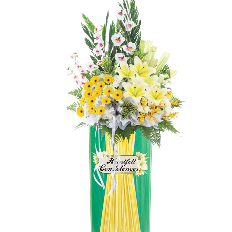 H172⭐⭐⭐⭐⭐member discount