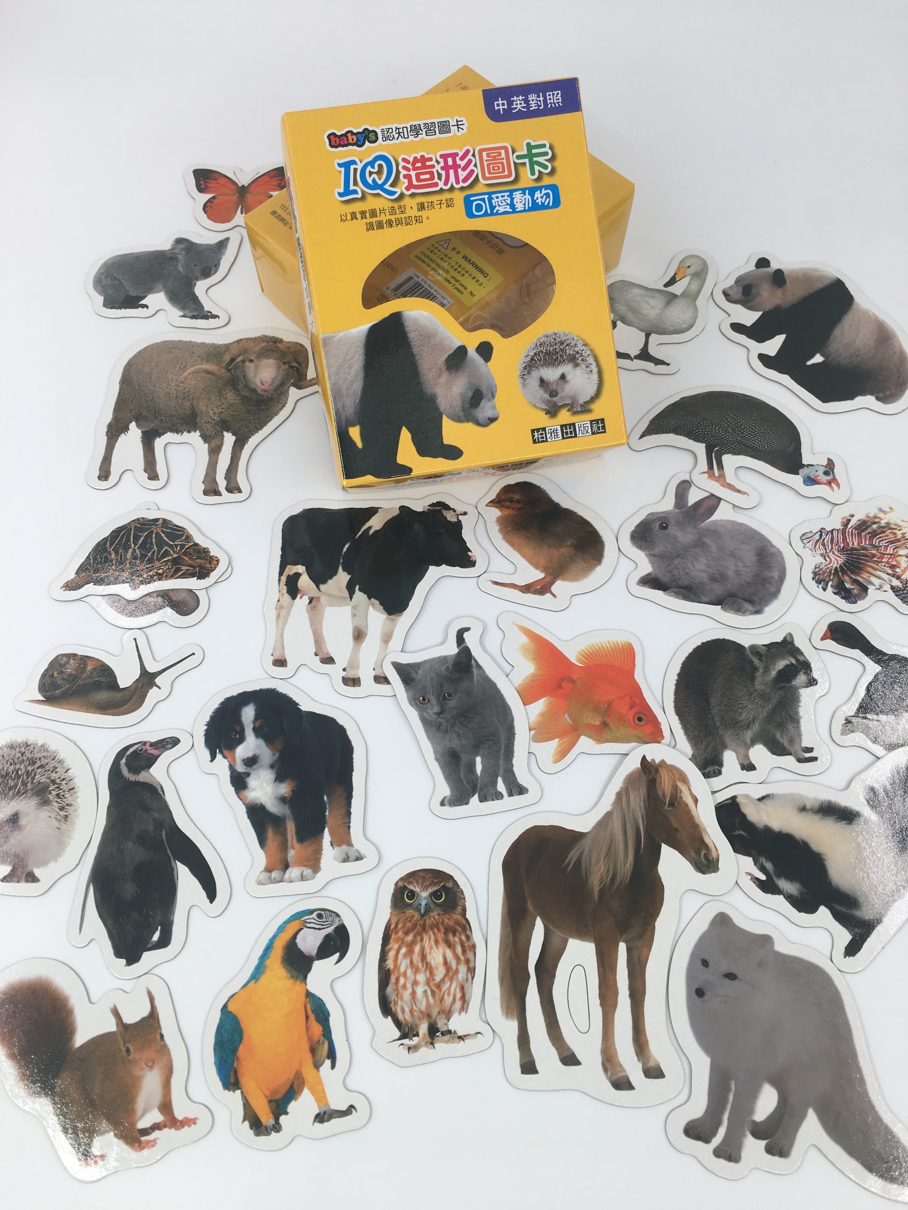 IQ造型圖卡-可愛動物