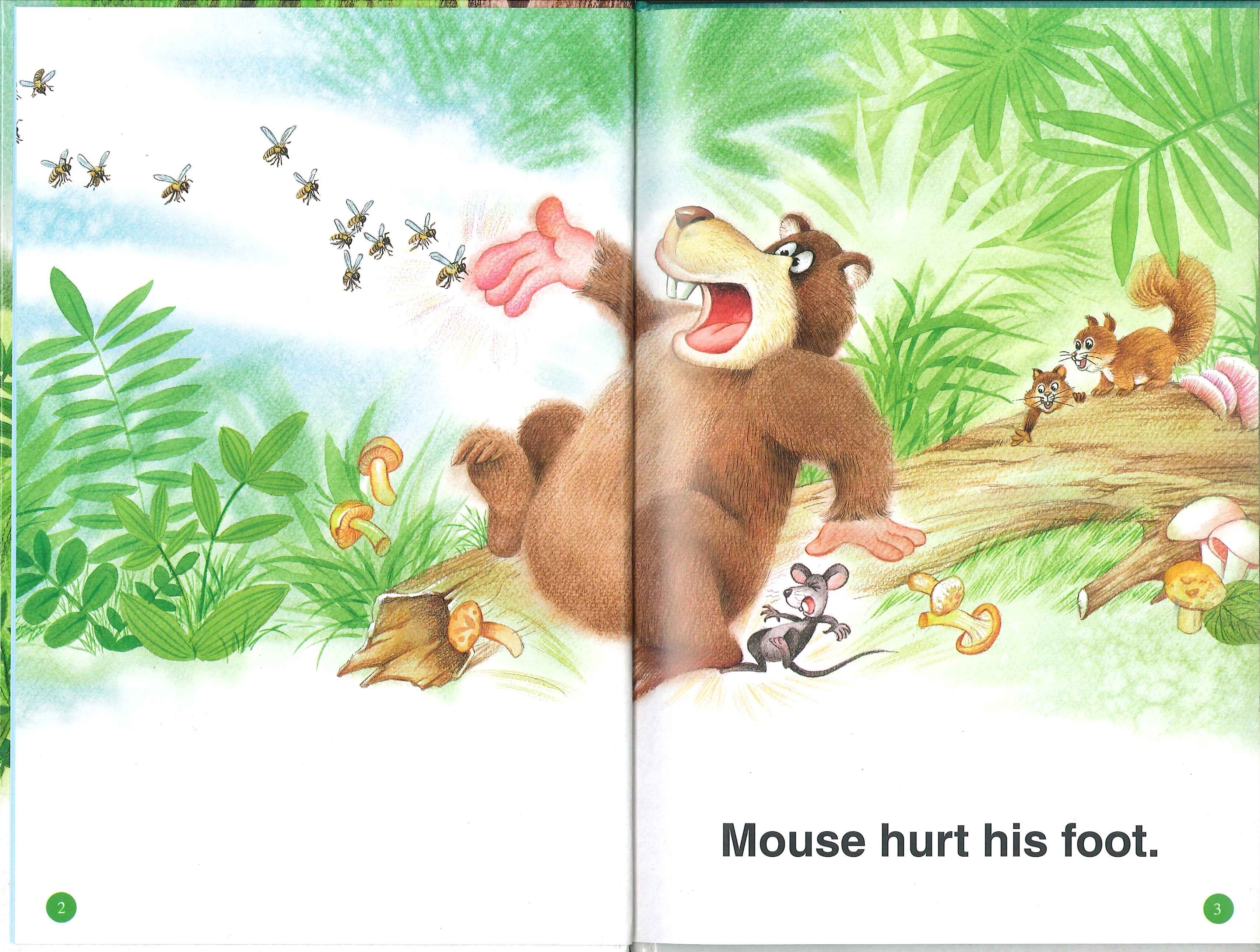 Animals In The Woods