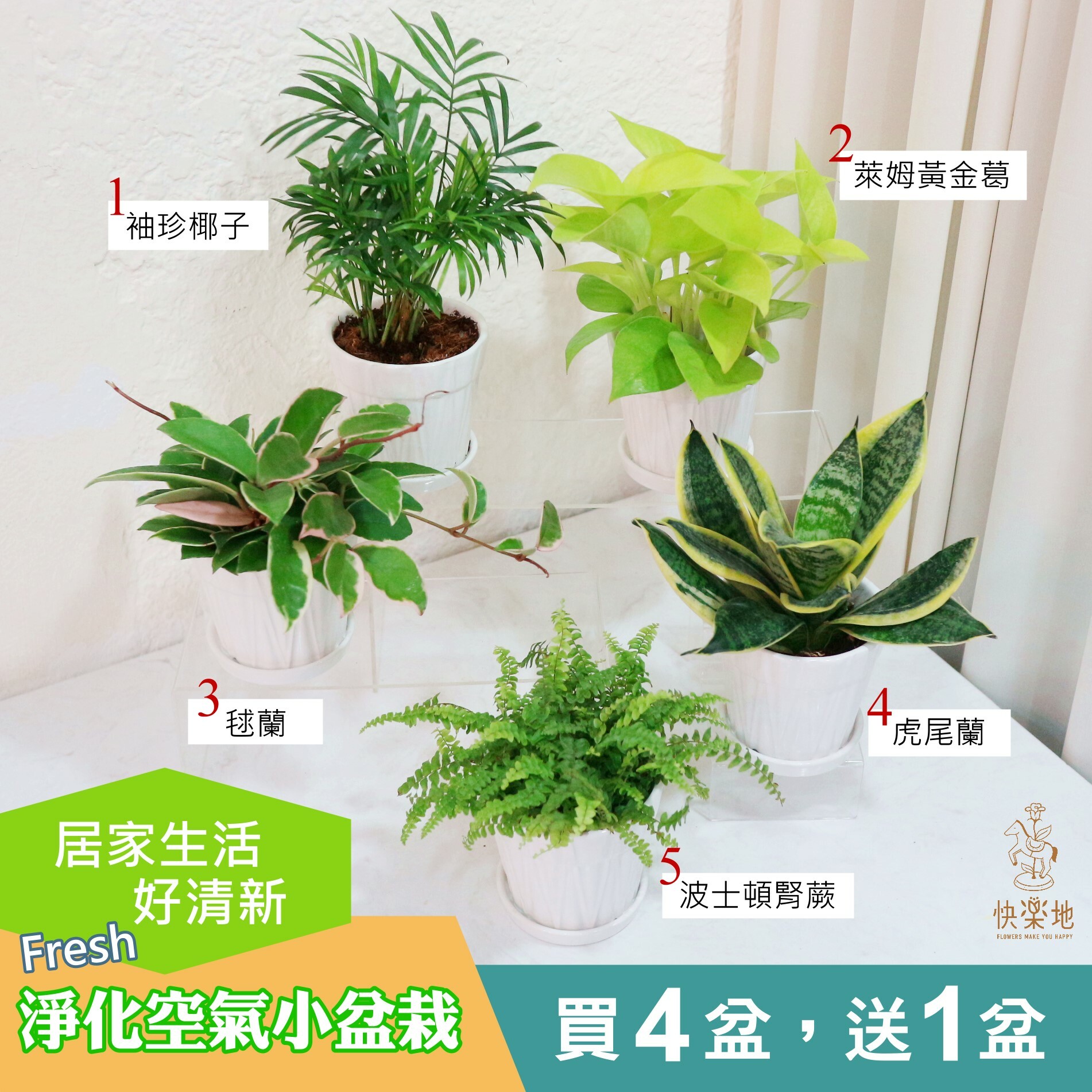 居家清新方案 I 買四盆送一盆 免運費  GP210506