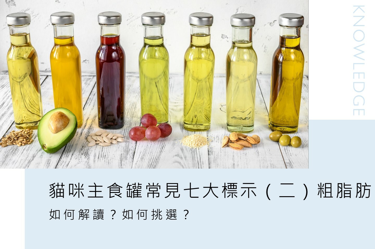 貓爾學院,寵物營養,日常護理,知識教室,貓爾地夫,脂肪,脂質,粗脂肪