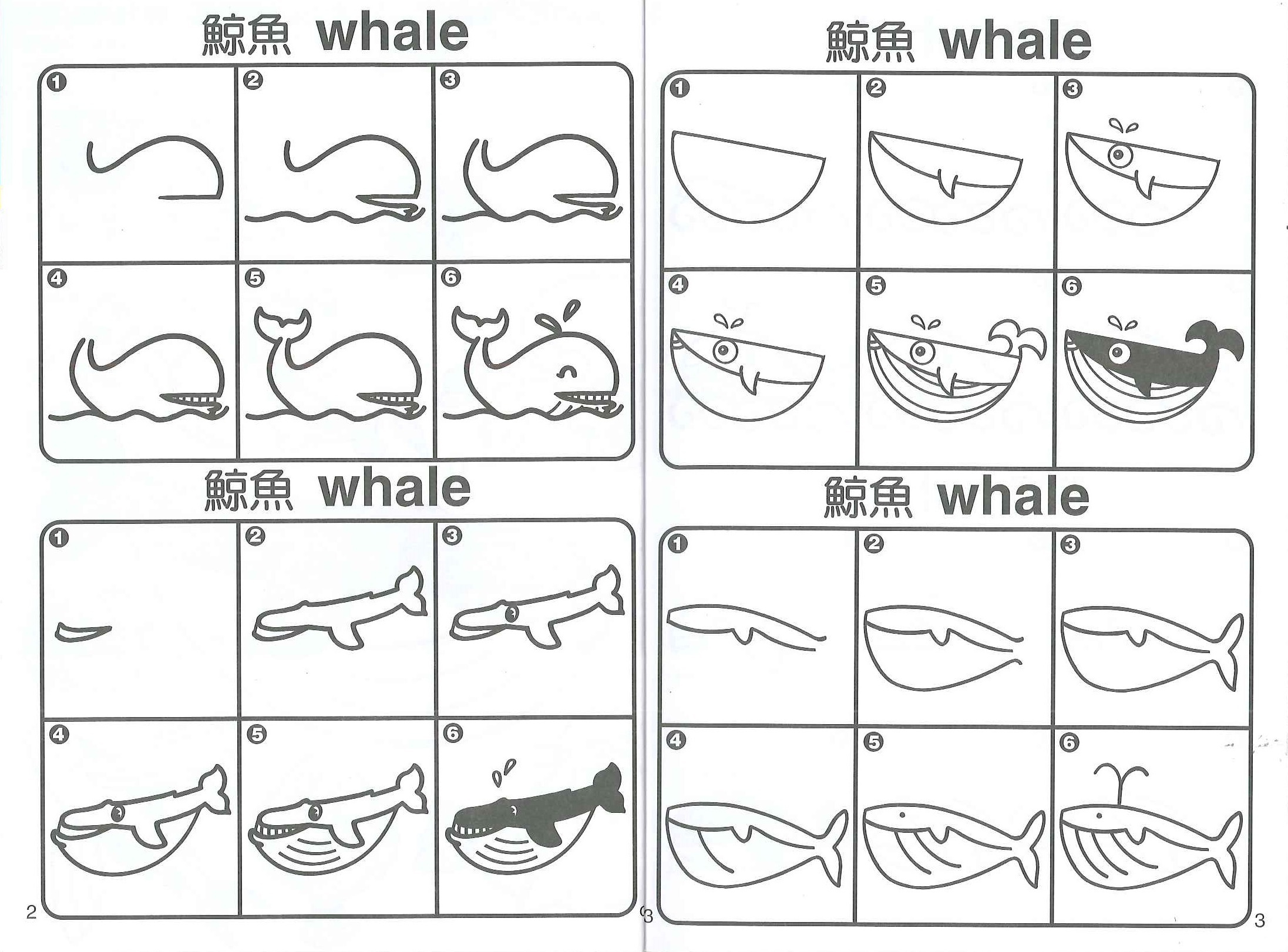 簡筆卡通輕鬆畫-海洋生物