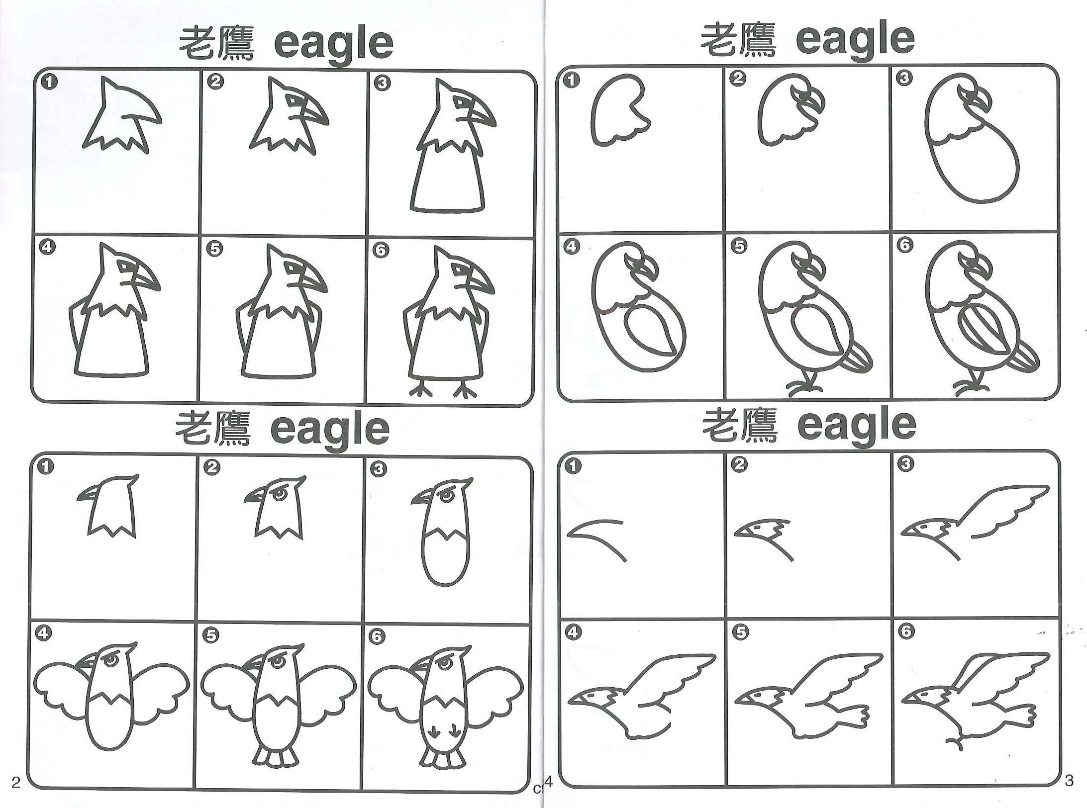 簡筆卡通輕鬆畫-羽毛動物.昆蟲世界