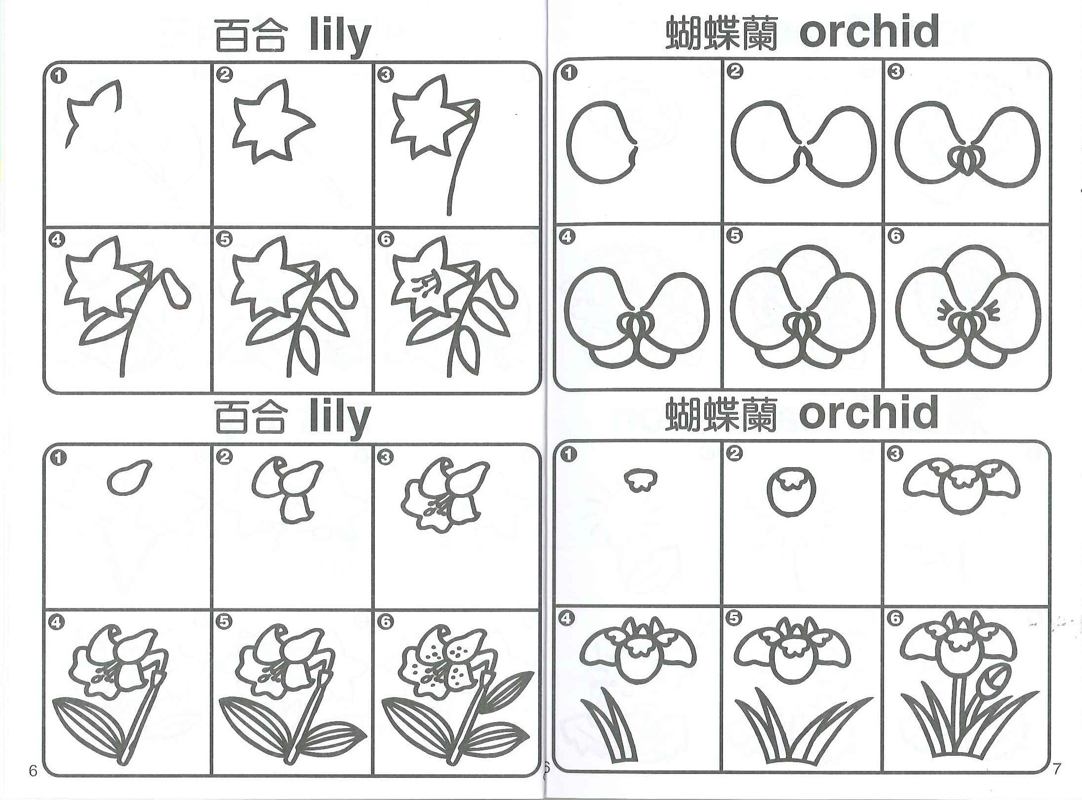 簡筆卡通輕鬆畫-蔬果花卉.日常用品