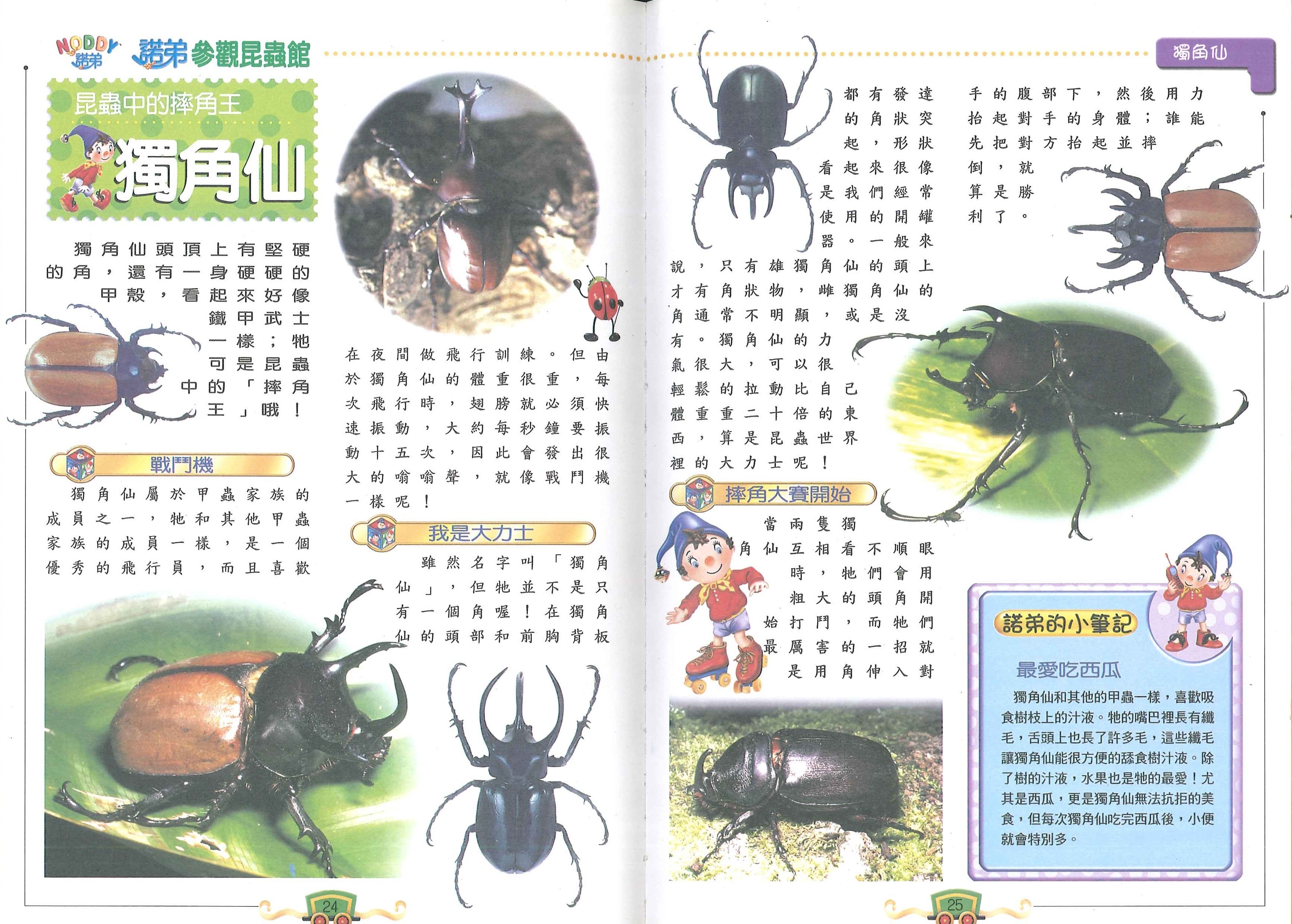 NODDY參觀昆蟲館