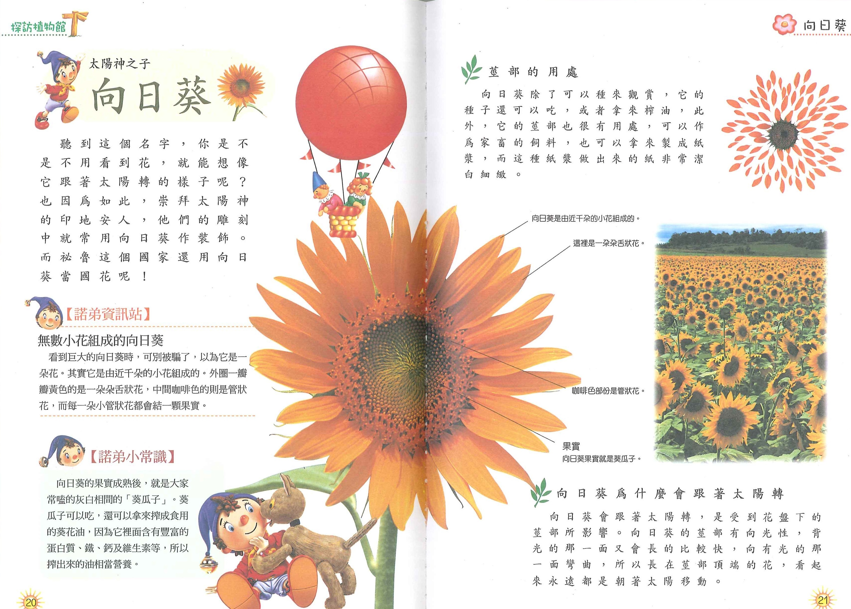 NODDY探訪植物館