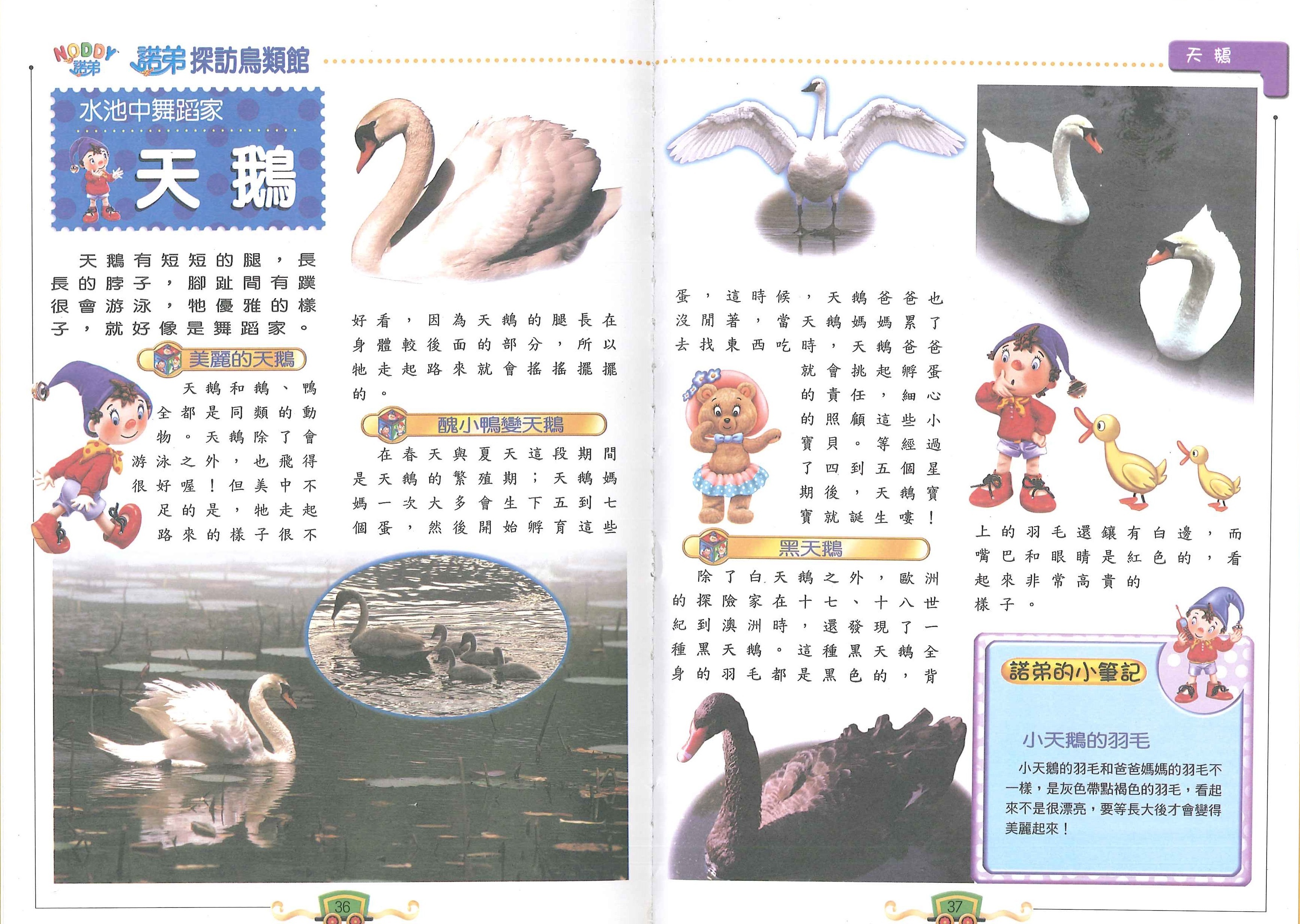 NODDY探訪鳥類館