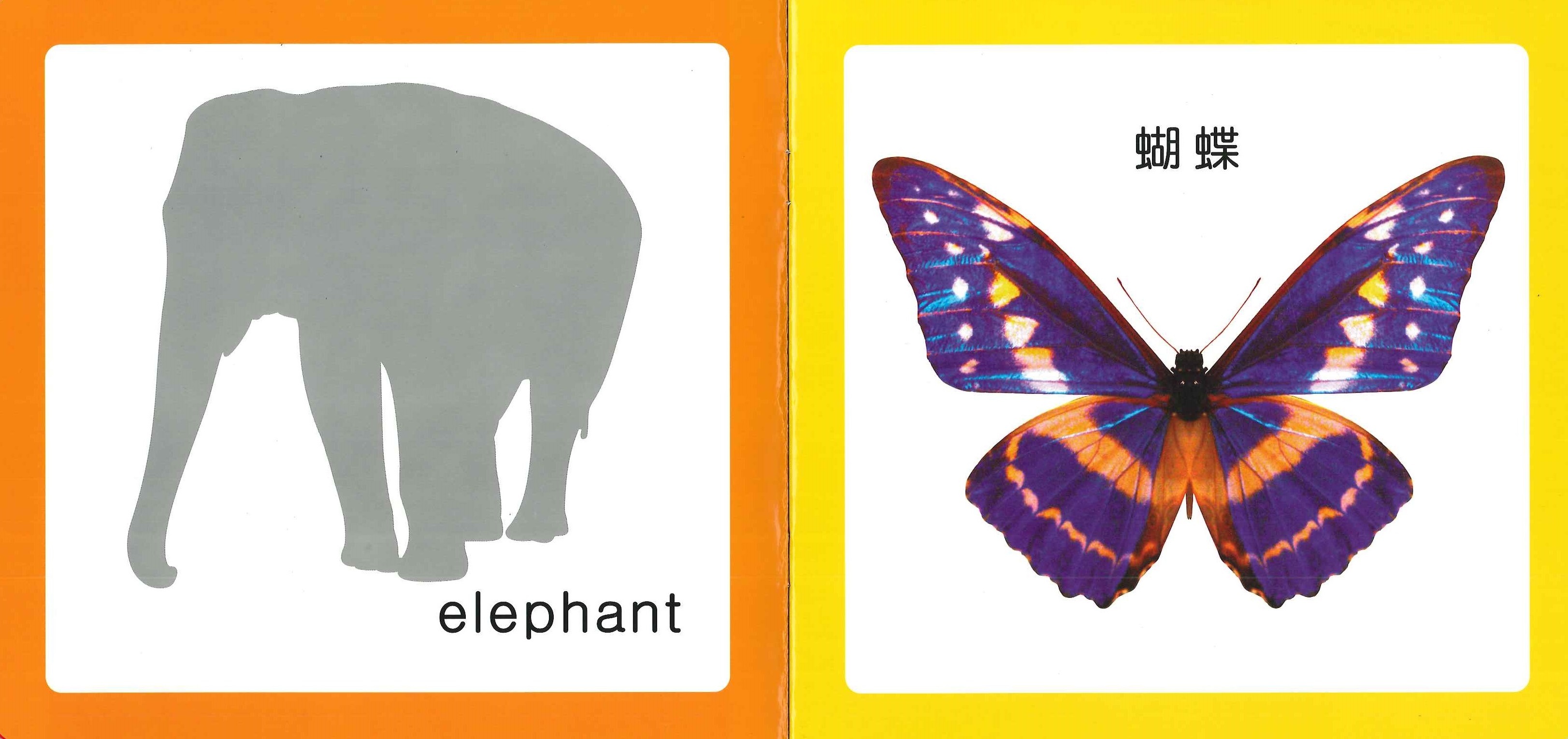 寶寶之書 - 動物篇