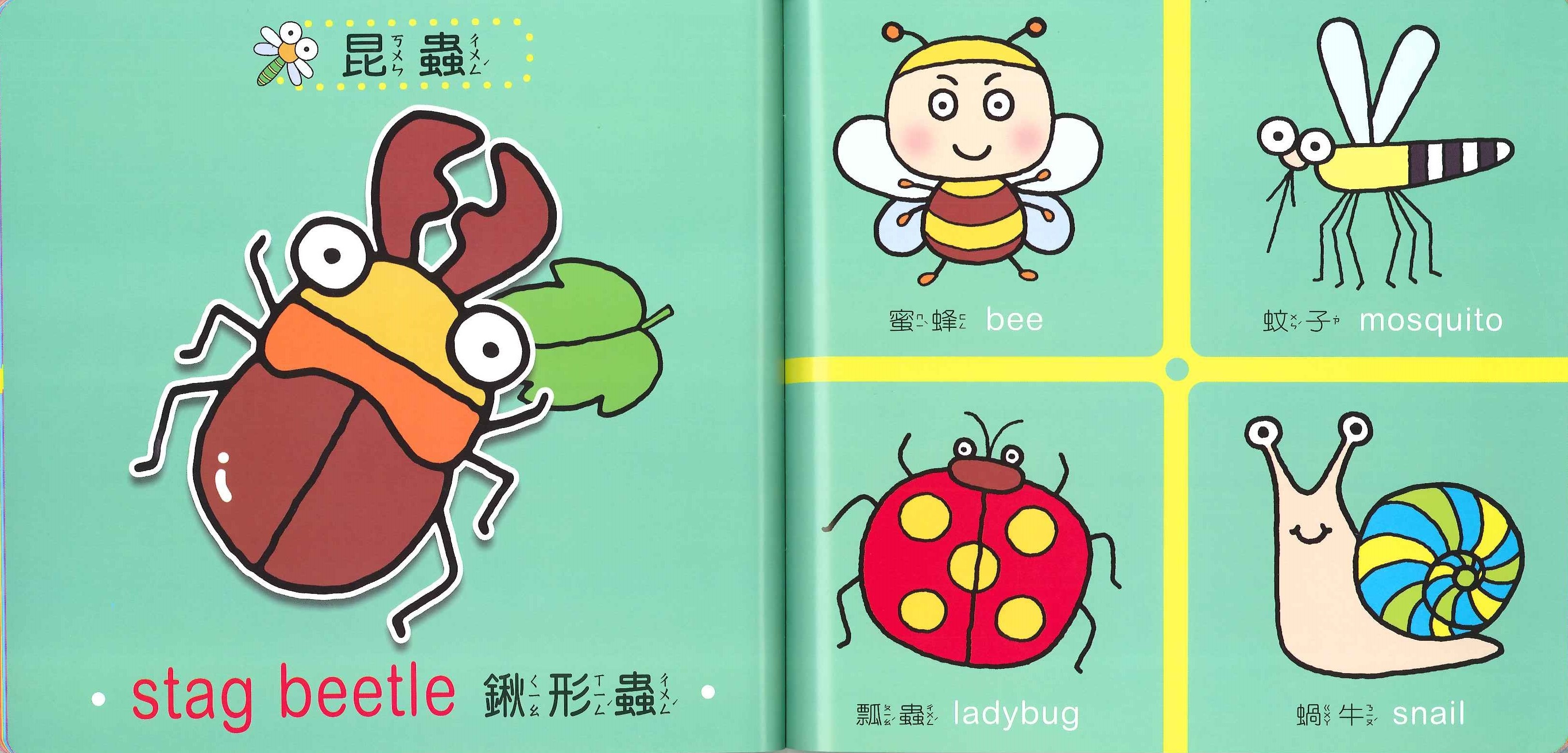 Baby學習書 - 圖典書