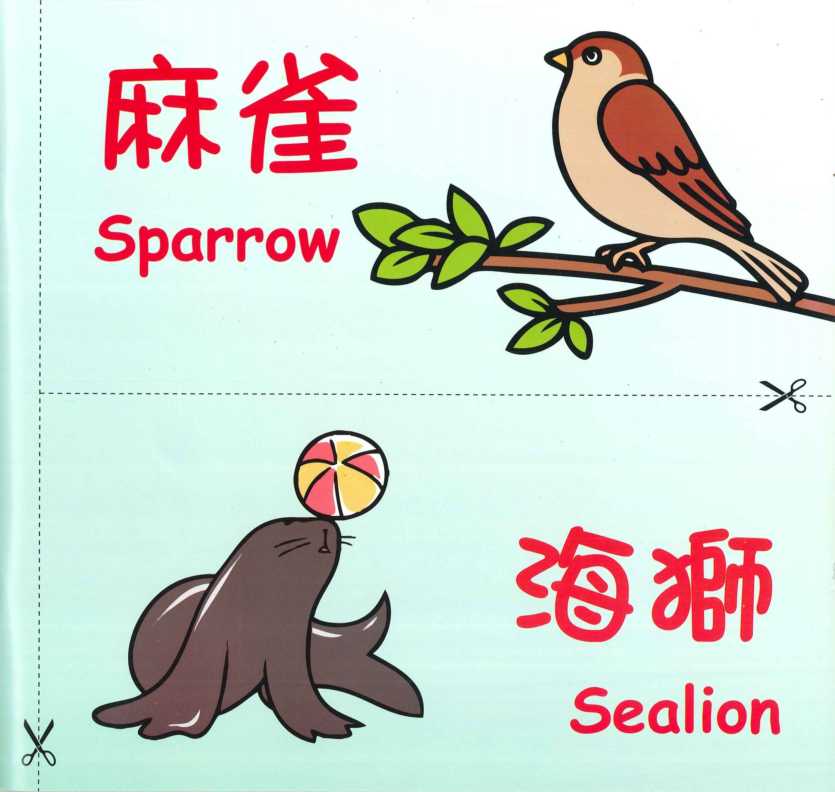 啟蒙卡片書: 海空生物