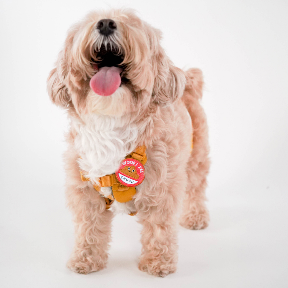 屎屎刺繡寵物吊牌