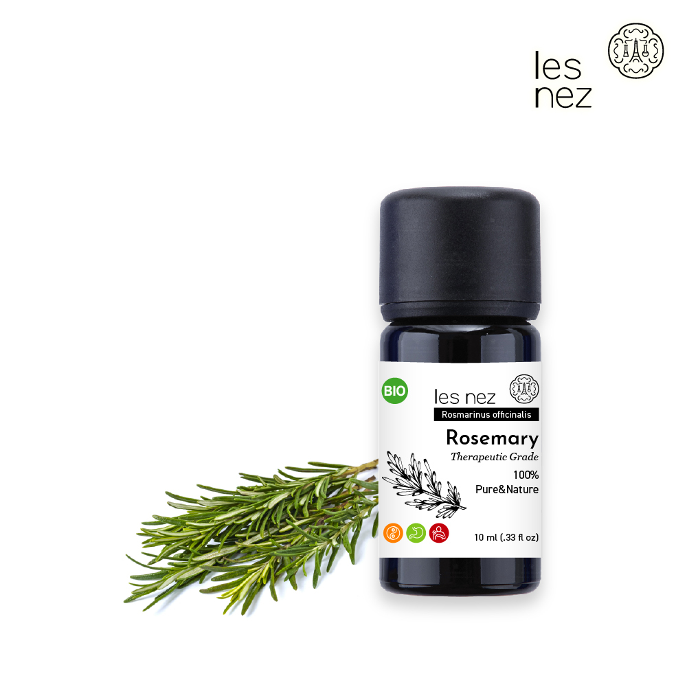 les nez 桉油醇迷迭香精油
