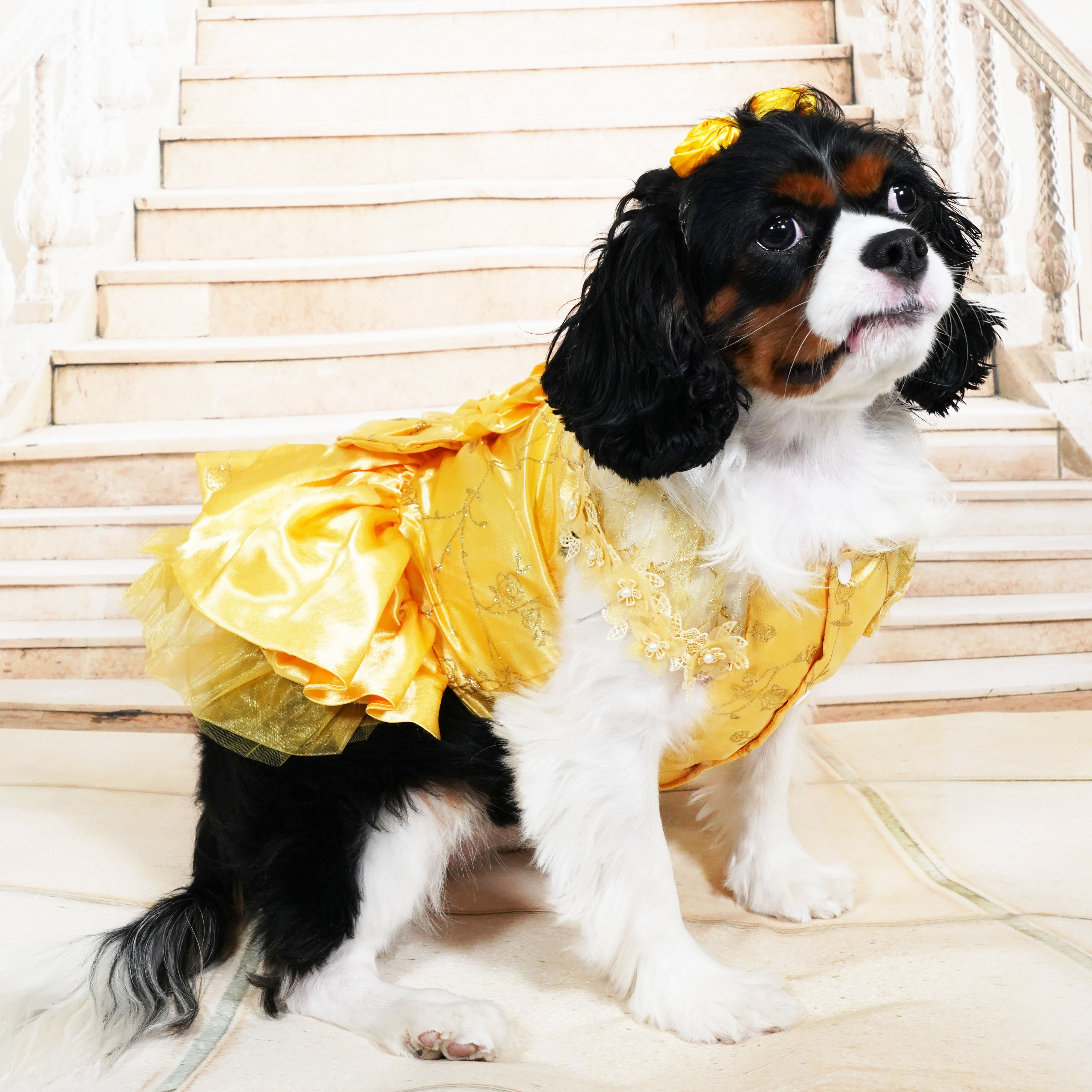 Yellow Rosy Princess Dress (excluded Headband)