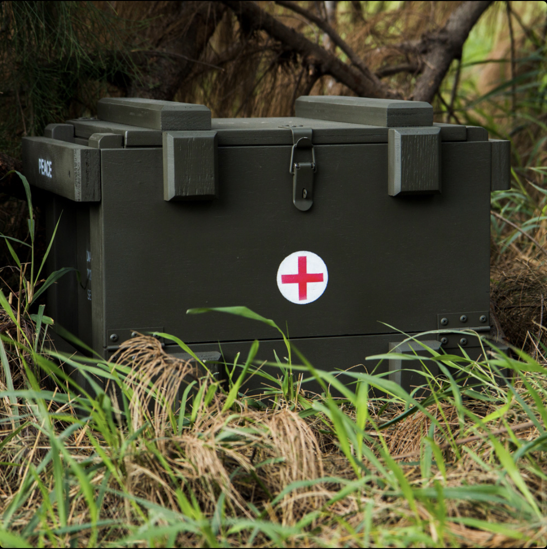 Diaz Peace Dove 機露收納箱 軍綠 軍箱 露營收納箱 露營 野營