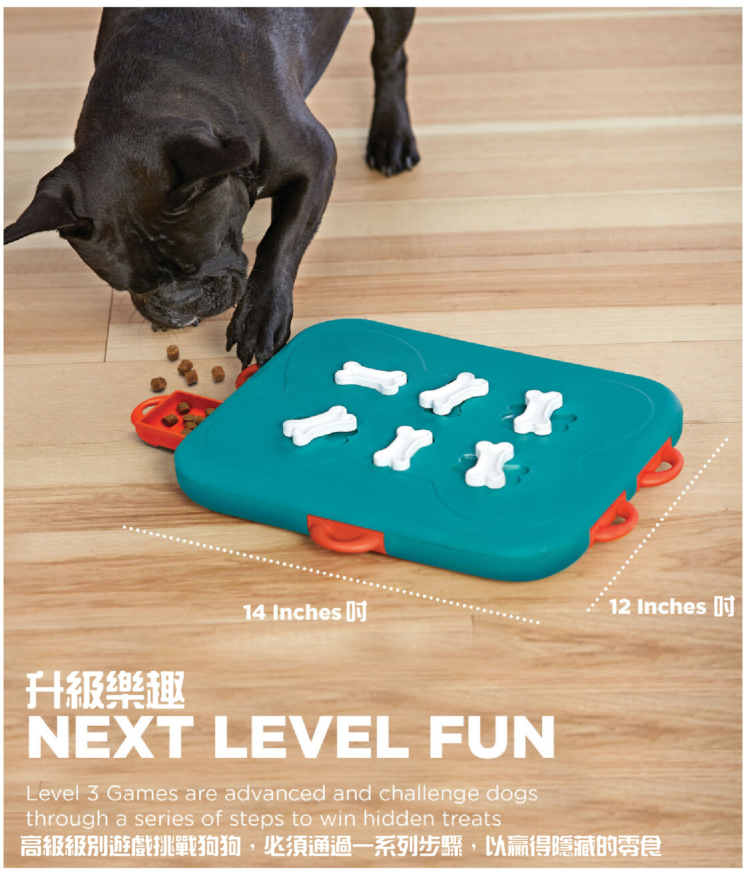 Nina Ottosson 狗賭場