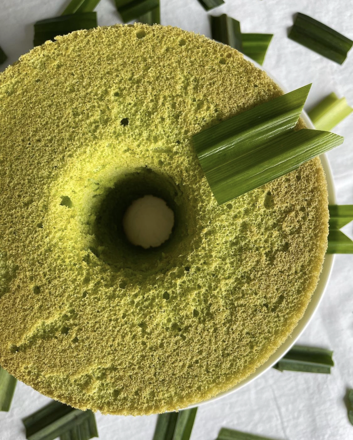 Vic Ellie 斑蘭戚風蛋糕 (8吋) [10月限定]