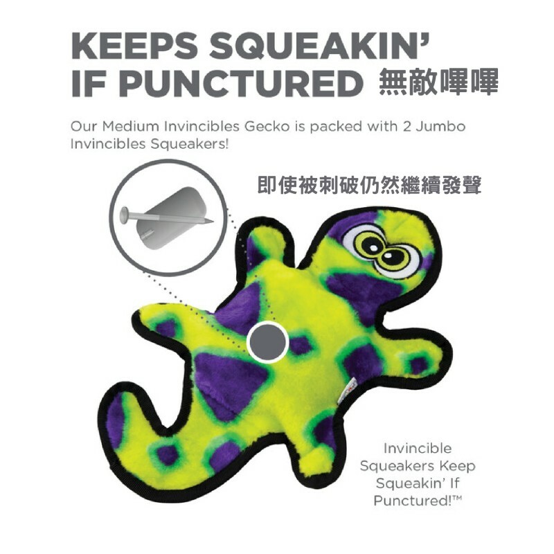 Outward Hound - 無敵綠壁虎(中)