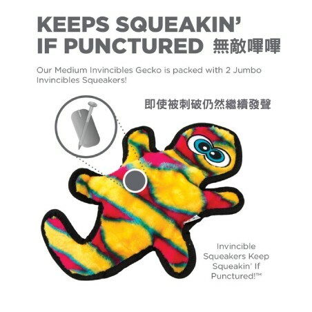 Outward Hound - 無敵橙壁虎(中)