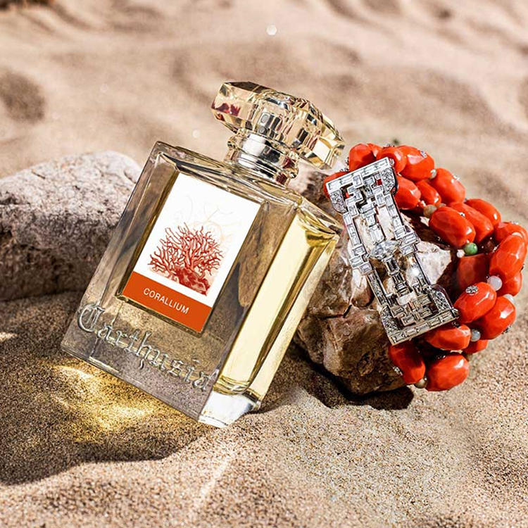 Carthusia – Corallium