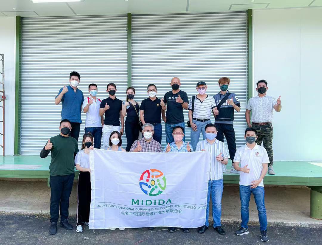 MIDIDA 榴莲 durian