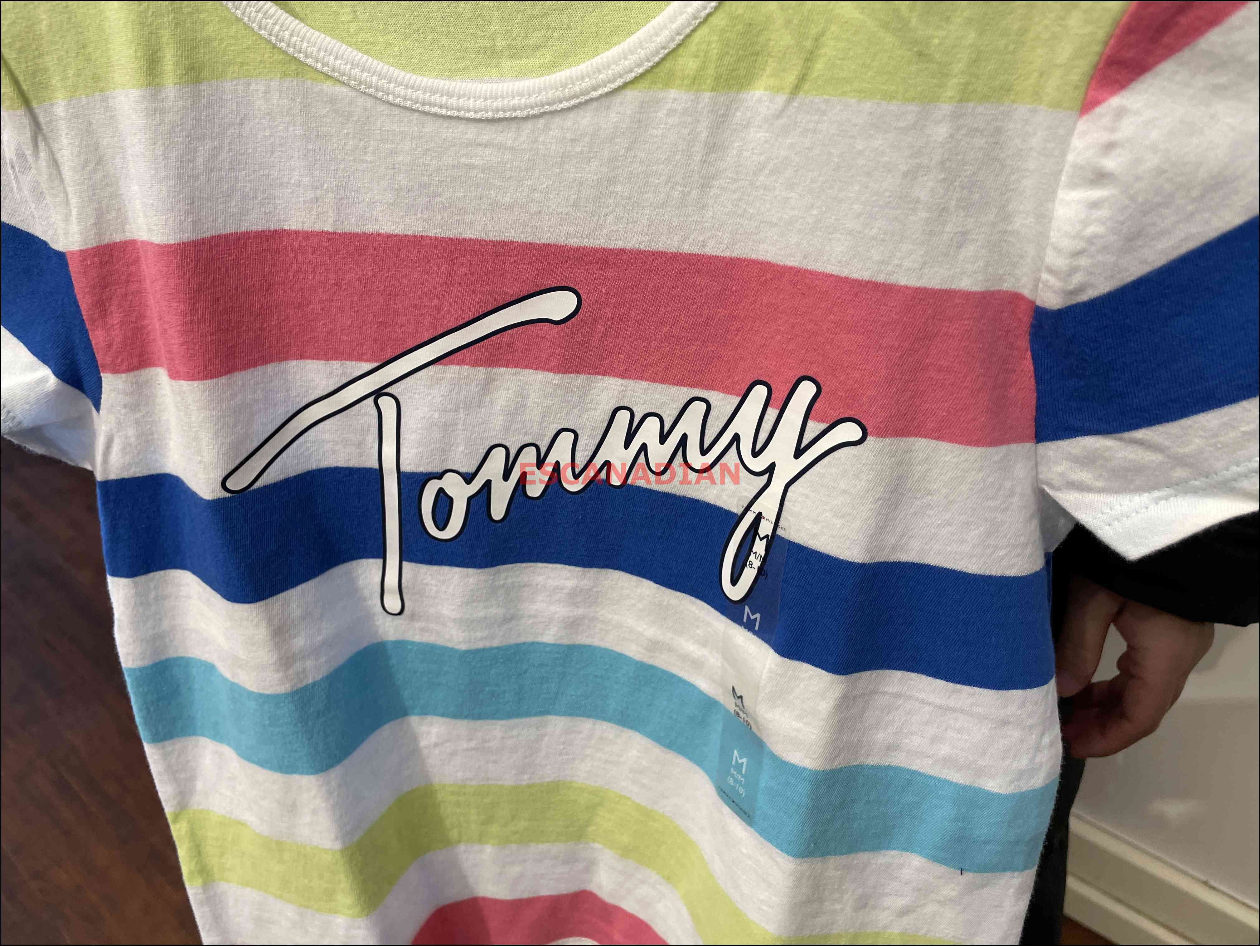 TOMMY 女大童 橫條 短TEE