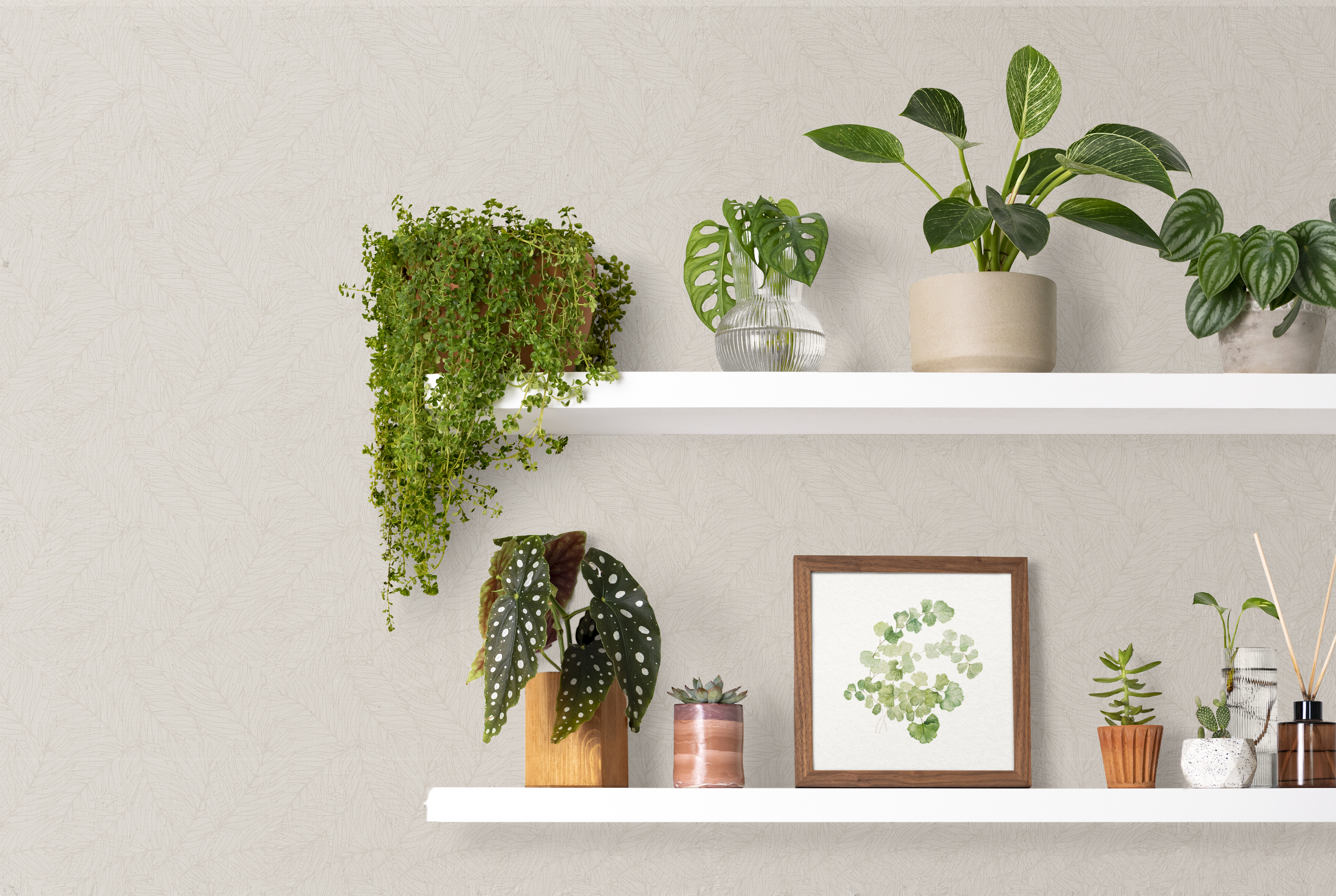 美牆壁布//牧暮卡密歐(約1.5坪/捲)