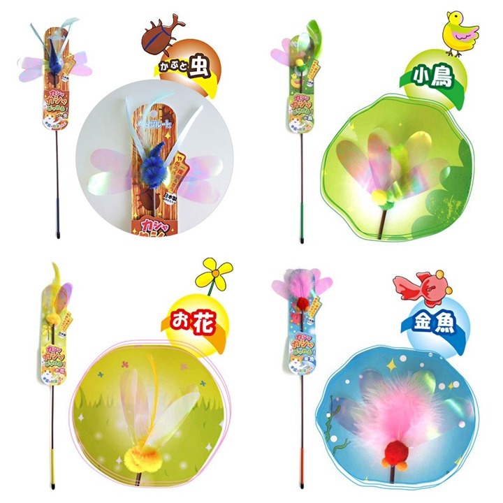 店長玩到傻貓棒