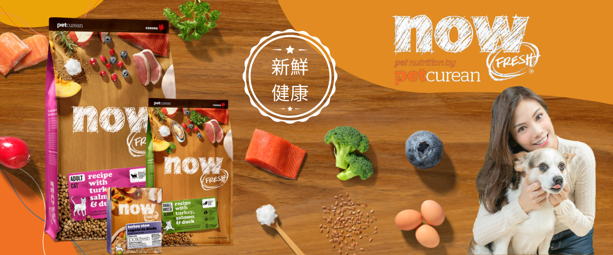 Now Fresh貓糧狗糧在StarPet寵物用品有售