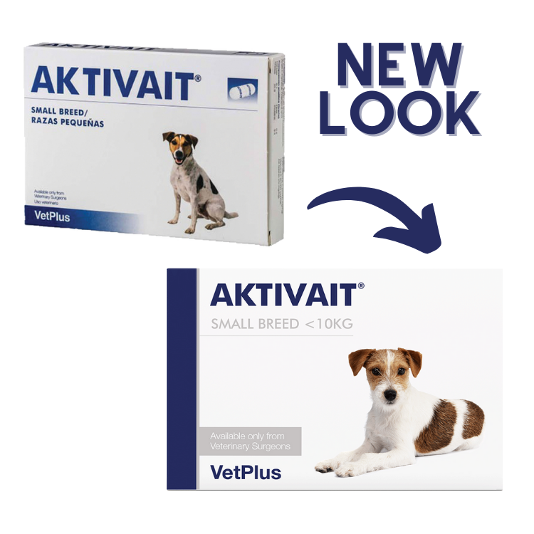 価格 帯 Aktivait 犬用サプリメント 中型 大型犬用 在庫限りsaleの通販 Www Molasbrasileiras Com