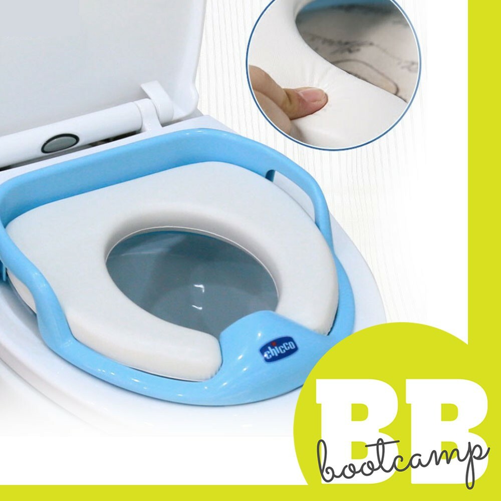 Chicco cheap potty seat