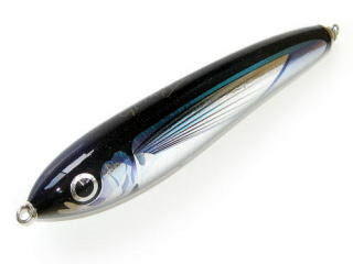 フィッシャーマン　ダイペン160 カーペンターGTガンマ160ft Carpenter(カーペンター) GT-Gamma(GT-ガンマ) 160H 使用