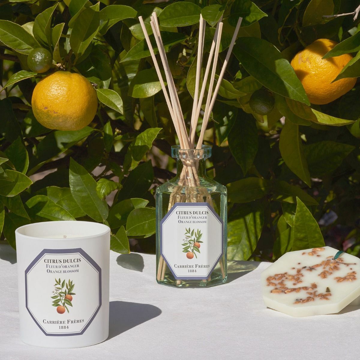 Carrière Frères 橙花擴香瓶