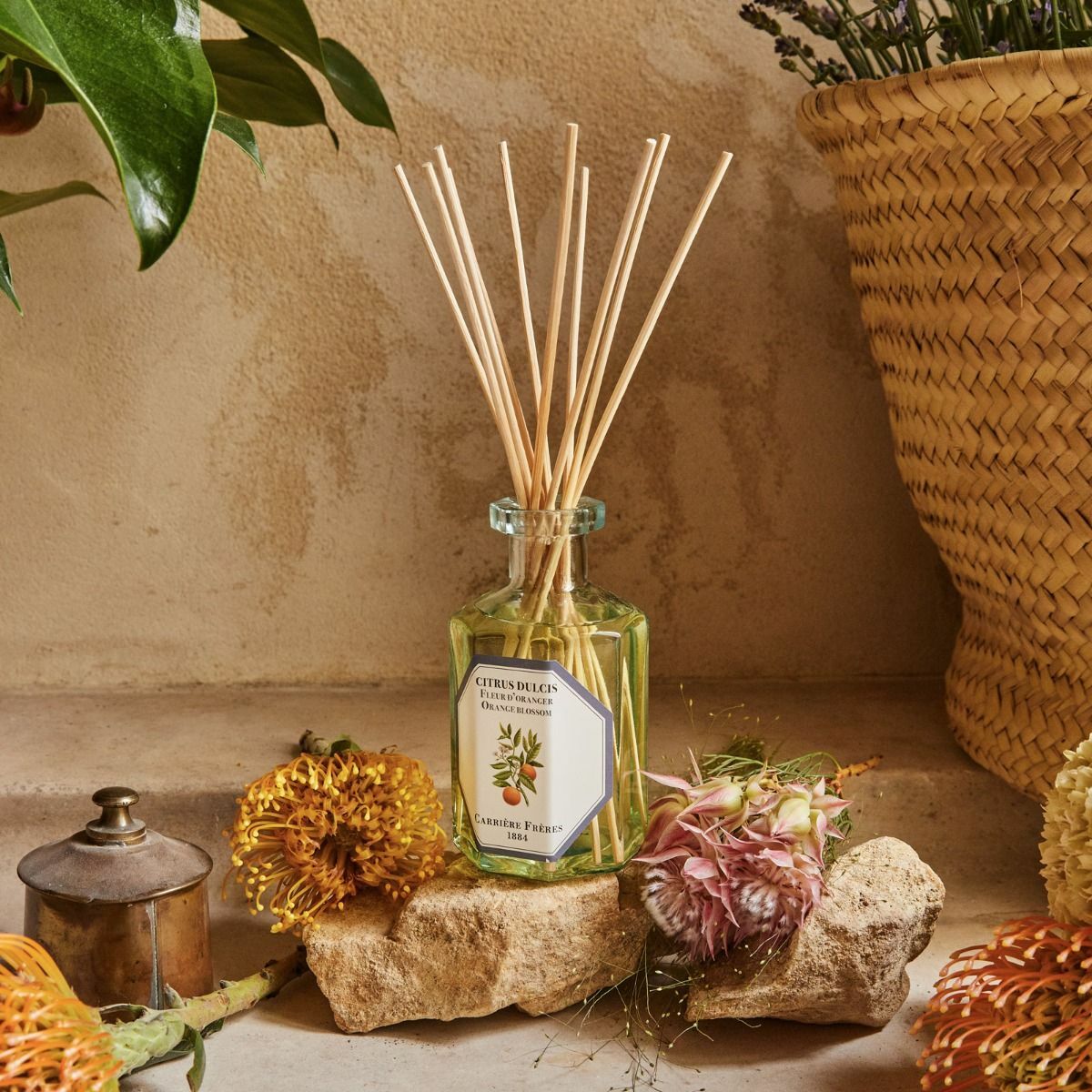 Carrière Frères 橙花擴香瓶