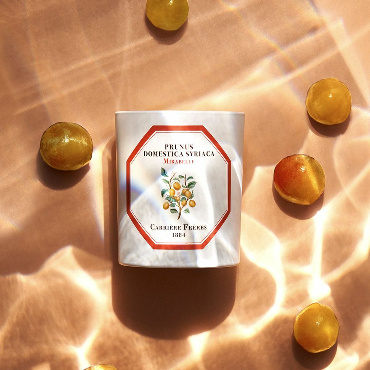 Carrière Frères 黃香李香氛蠟燭