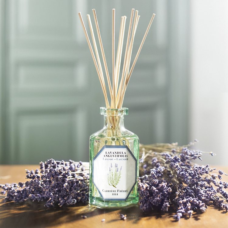 Carrière Frères 薰衣草擴香瓶