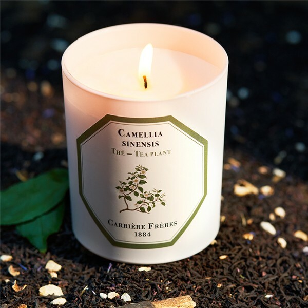 1893 Ritual l Carrière Frères 紅茶香氛蠟燭Tea Plant