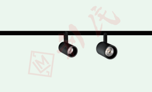 Raynice (砂黑) - 48V 磁吸路軌射燈 (3W 窄角度)