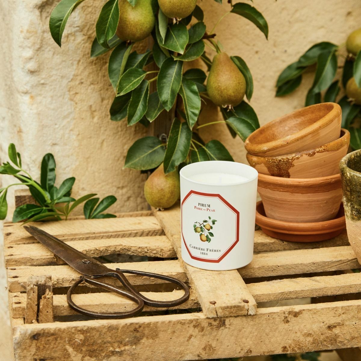 Carrière Frères 梨香氛蠟燭