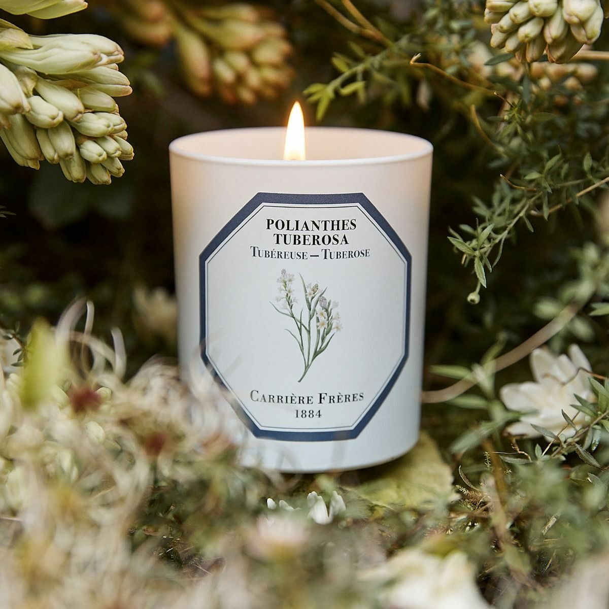 Carrière Frères 晚香玉香氛蠟燭
